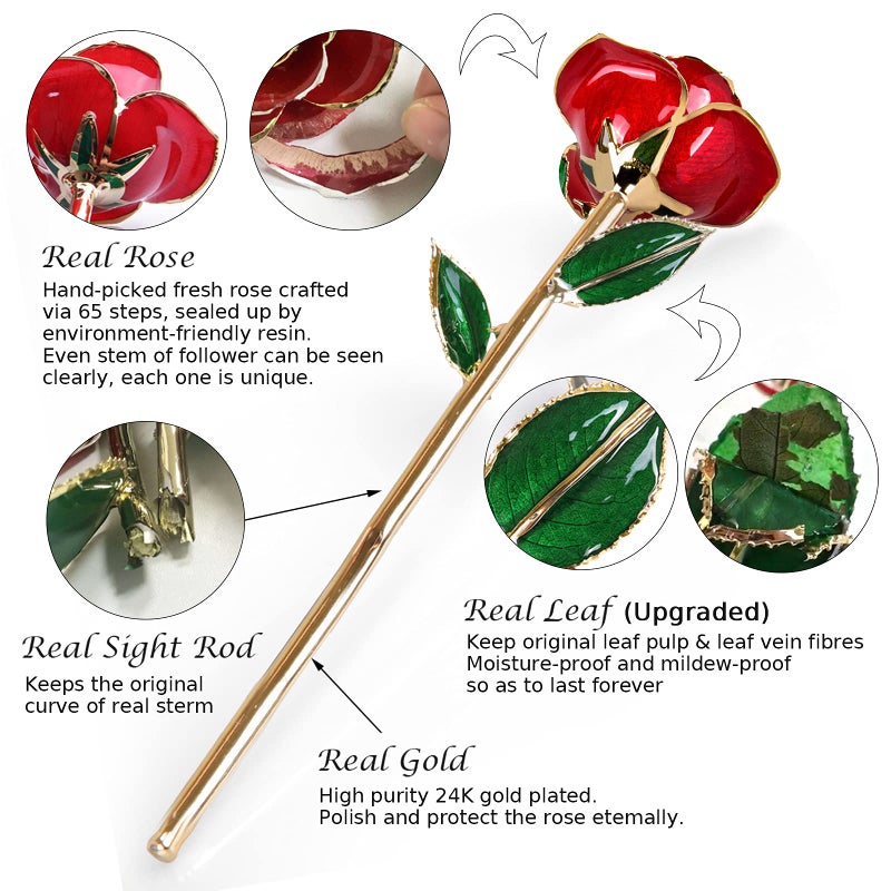 Sinvitron Gold Dipped Infinity Rose - Eternal Resin-Preserved Rose | Forever Flower Decor for Birthdays, Motherâ€™s Day, Anniversaries | Unique Gift for Women, Mom, Wife (Red) - Image 2